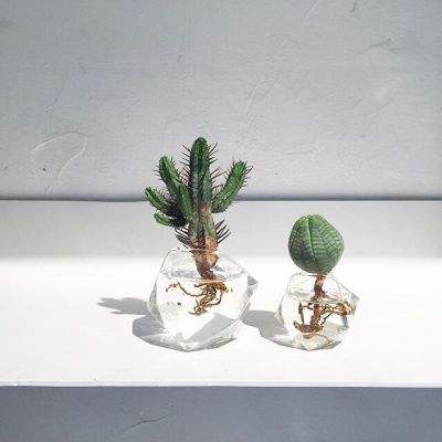 bat365中文官方网站(在线)