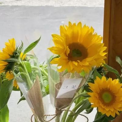 欧意在线登录-登录入口